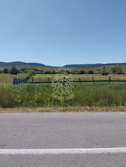 Teren agricol extravilan de 700 mp, în Livezile