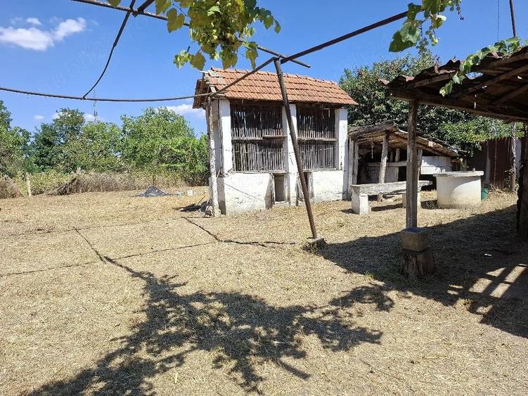 Vand casa - 1