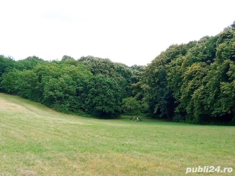 Teren de 2900 mp, în Tileagd