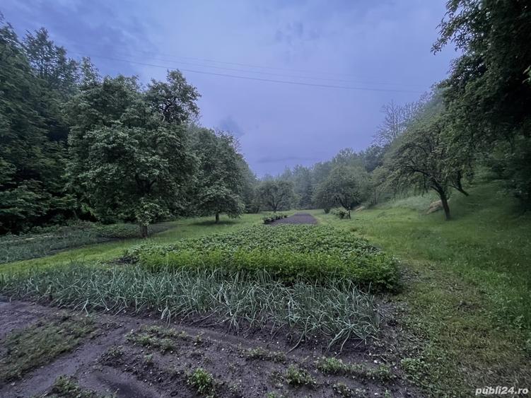 Casă cu 6 camere în Central