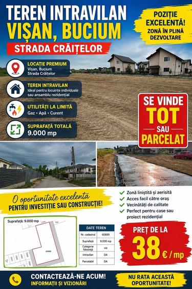Spațiu comercial, în Vișan