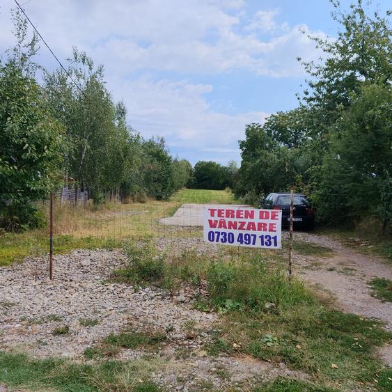 Teren de 2000 mp, în Șimian