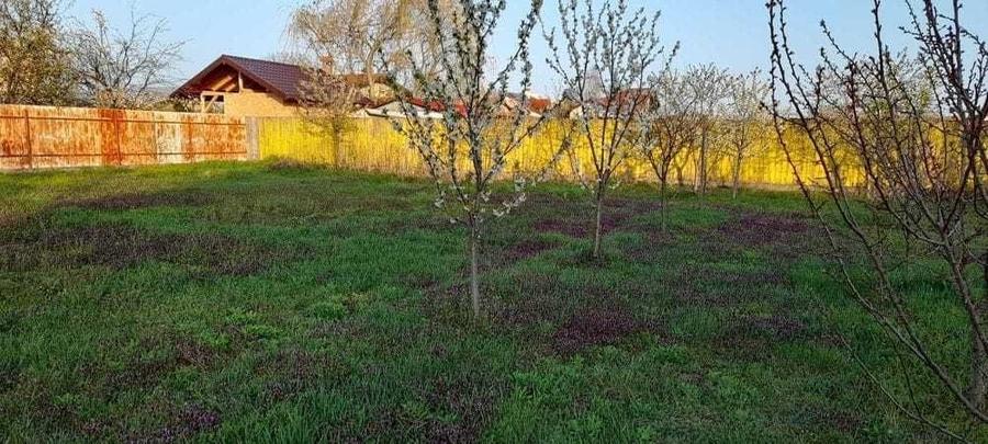 Teren de 1005 mp, în Dumbrava