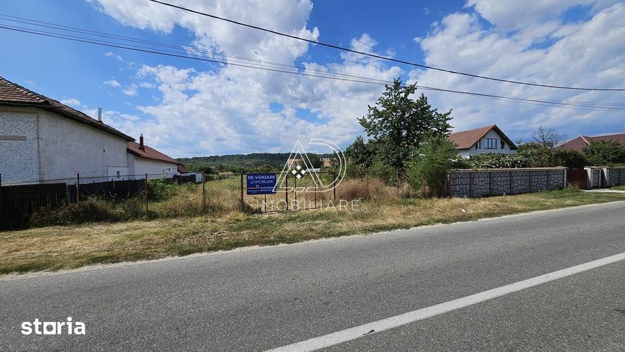 Teren de 3863 mp, în Turcinești