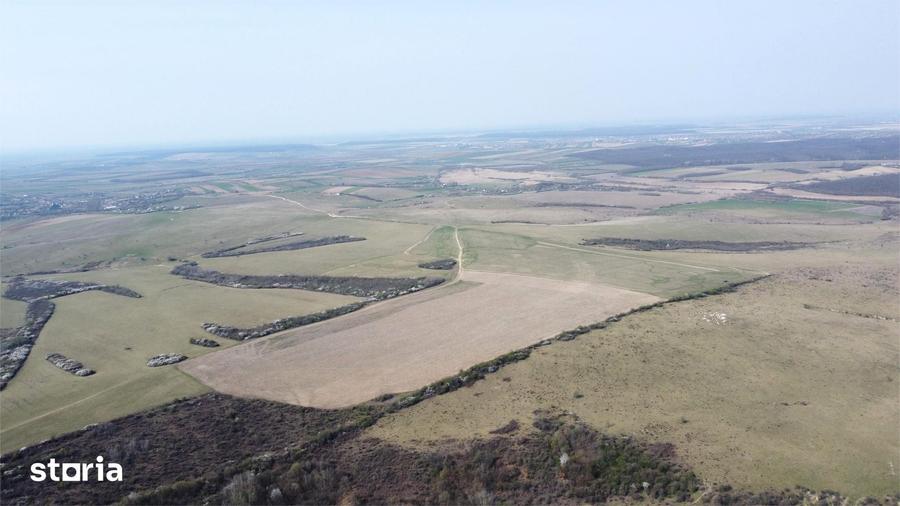 Teren de 268200 mp, în Ardud