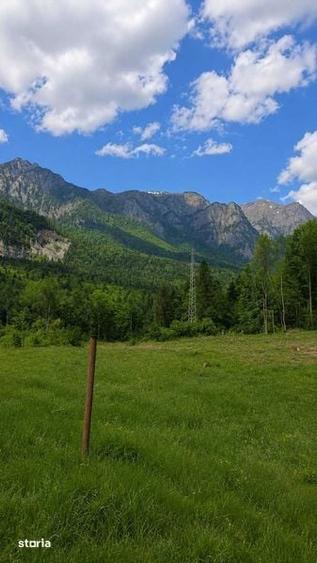 Teren de 1000 mp, în Cumpătu