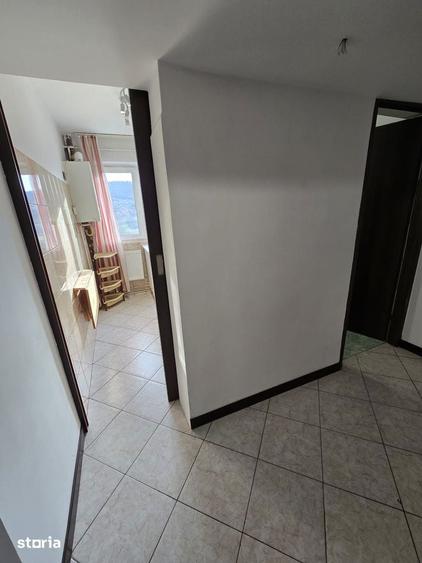 Inchiriere apartament ,Alexandru Cel Bun.Contract Anaf,300 euro - 8