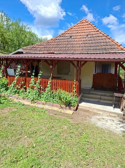 Casă cu 2 camere cu Teren 3000 Mp în Podele
