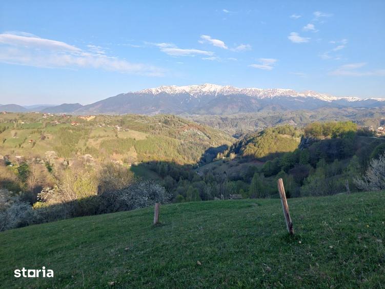 Teren 3,618mp Pestera / Strada Principala - 2
