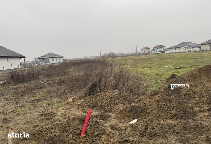 Teren de 5000 mp, în 1 Decembrie
