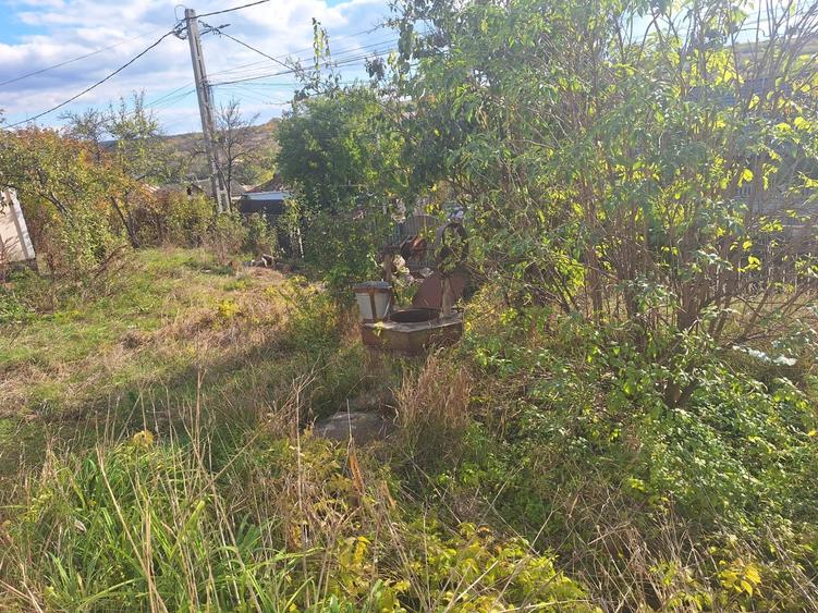 Teren agricol intravilan de 1000 mp, în Proselnici