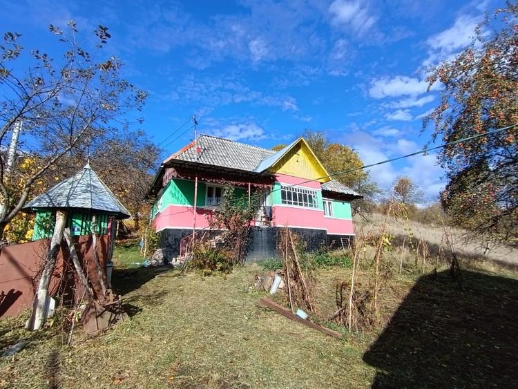 Casă individuală cu 2 camere cu Teren 4000 Mp în Cavnic