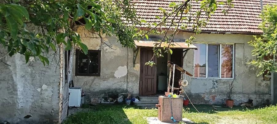 Teren de 1000 mp, în Carani