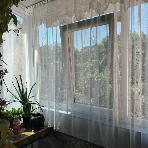 Apartament 2 camere Alexandru cel Bun - 7