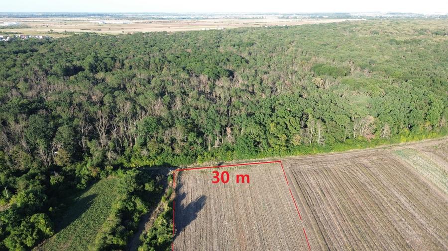 Teren Construcții intravilan de 9000 mp, în Bolintin-Deal
