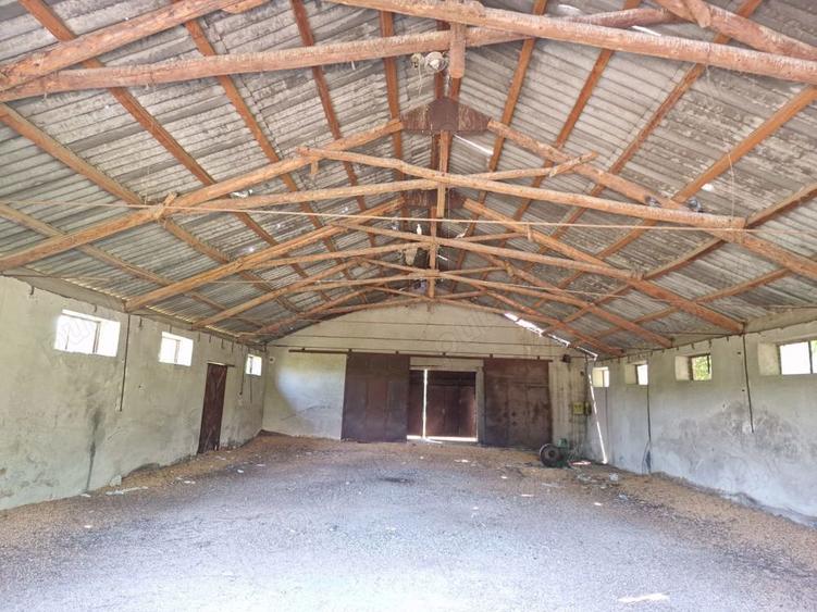 Vanzare teren intravilan 3800 mp, DN Bucuresti-Urziceni - 1