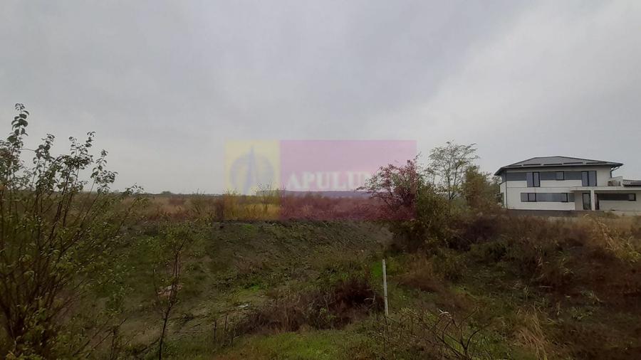 Teren agricol extravilan de 5000 mp, în Corbeanca