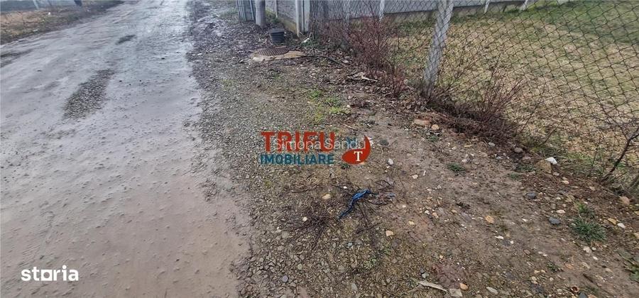 Teren Intravilan Construibil in Alba Iulia, Micesti