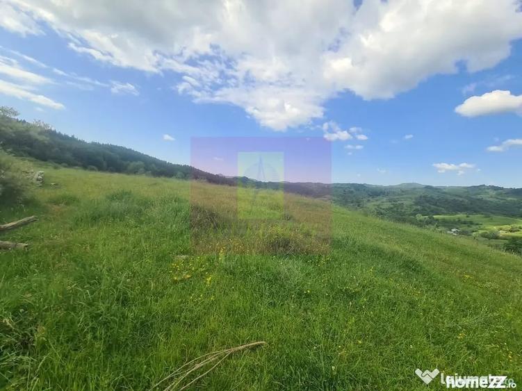 Teren de 9037 mp, în Plaiul Tălii