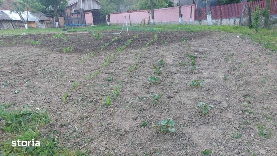 Casă cu 2 camere cu Teren 86 Mp în Central
