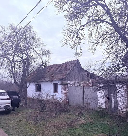 Casă cu Teren 1388 Mp în Răpsig