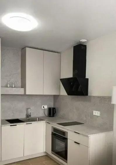 Apartament 2 camere de inchiriat in zona Take Ionescu - 3