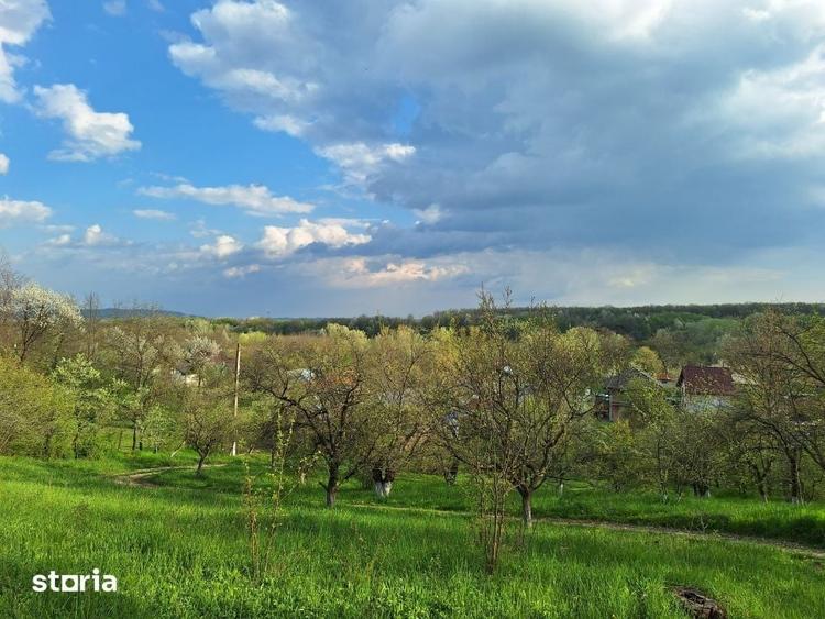 Casă cu 5 camere cu Teren 5950 Mp în Scorțeni