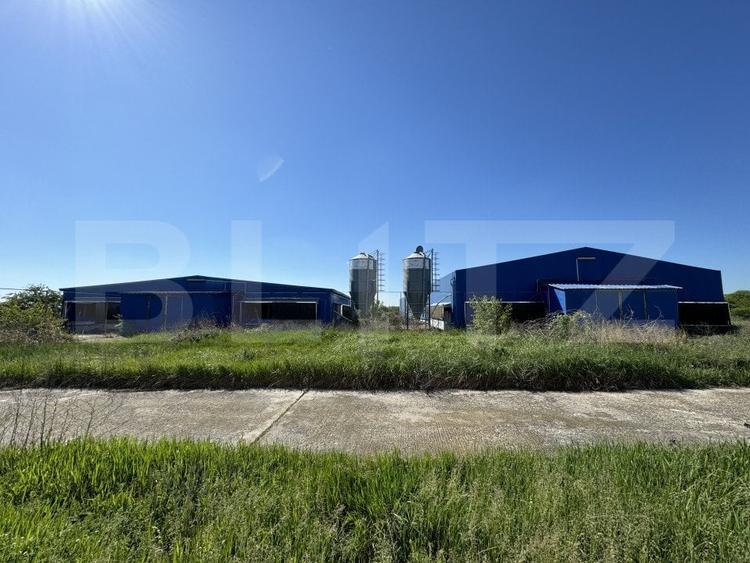 Spațiu industrial, de 4,403 mp, în Bucovăț