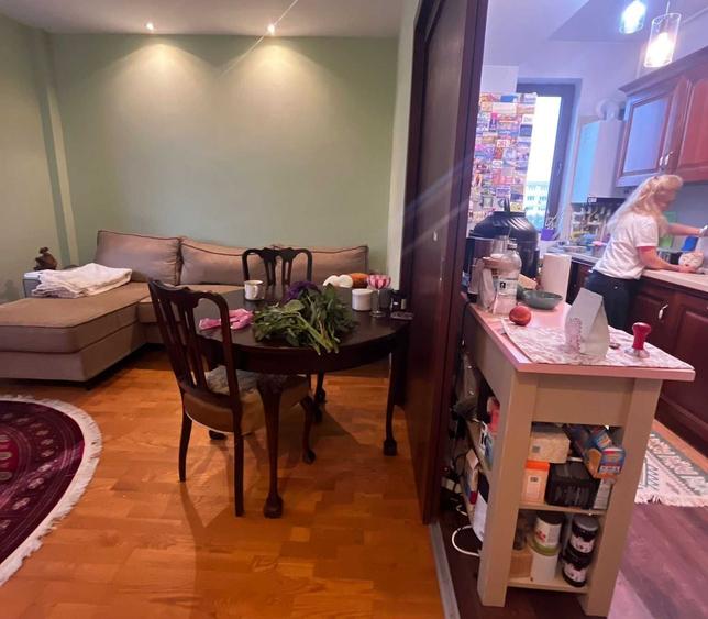 Apartament 3 camere Bd. Ion Mihalache - 7