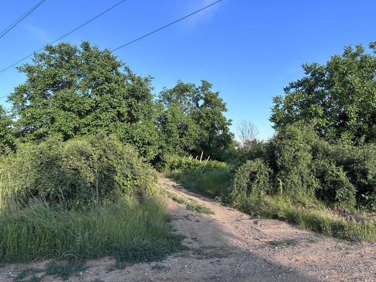 Teren intravilan 500 mp de vanzare Strada Apusului, Popesti-Leordeni - 2