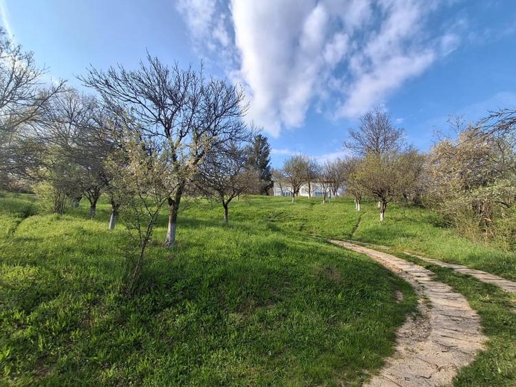 Casă individuală cu 5 camere cu Teren 5950 Mp în Câmpina