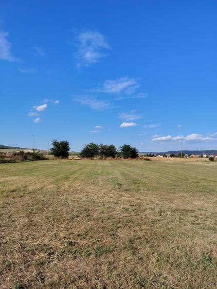 Spațiu industrial, de 7,000 mp, în Burdujeni