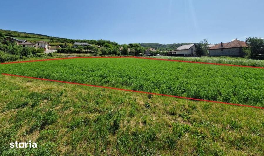 Teren de 2006 mp, în Baciu