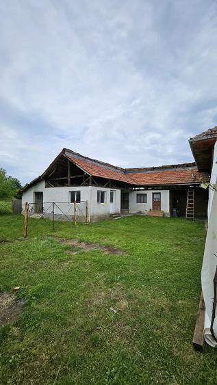 Casă cu Teren 3460 Mp în Pocruia