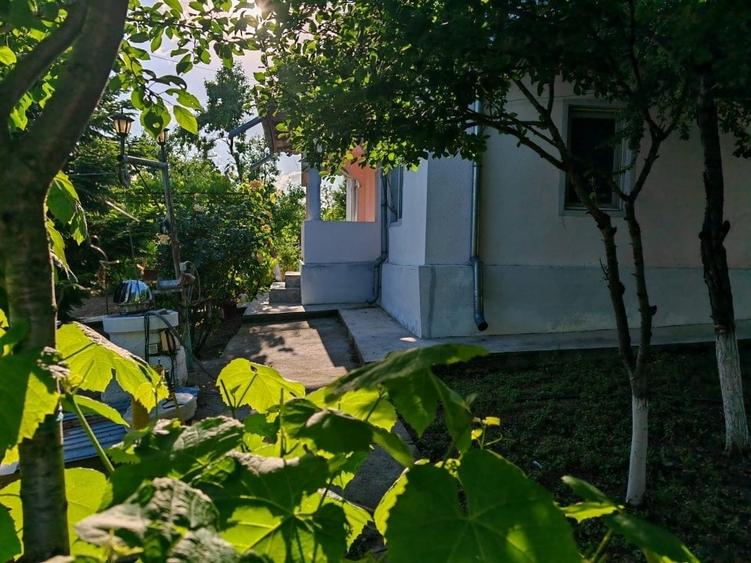 Casă cu 4 camere cu Teren 3000 Mp în Central