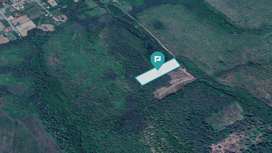 Teren extravilan de 23000 mp, în Dorgoș