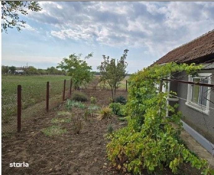 Casă cu 3 camere în Viișoara
