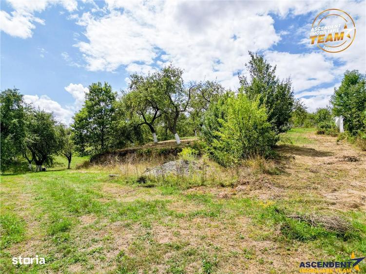Teren de 4500 mp, în Ilieni