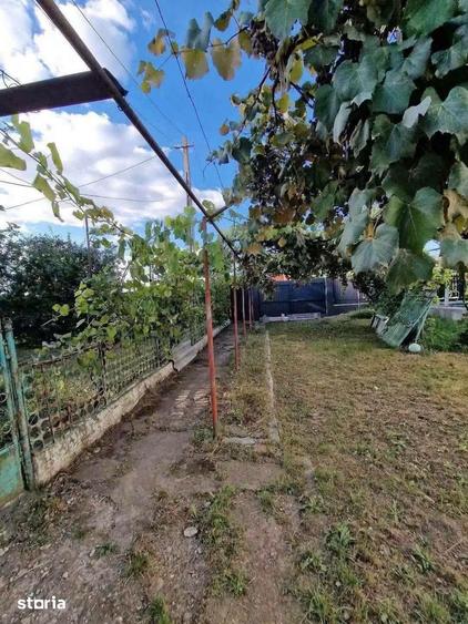 Casă cu 3 camere cu Teren 1200 Mp în Central