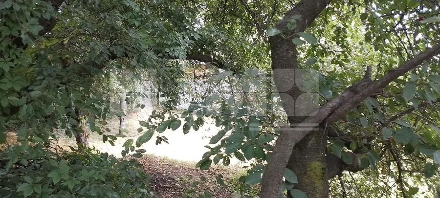 Teren Construcții intravilan de 844 mp, în Central