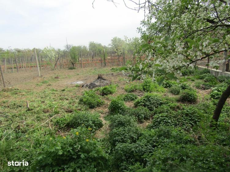 Casă cu 2 camere în Vințu de Jos