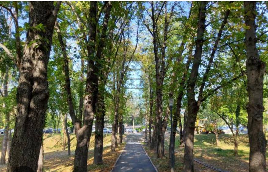 2 camere Parcul Verdi Floreasca - 3