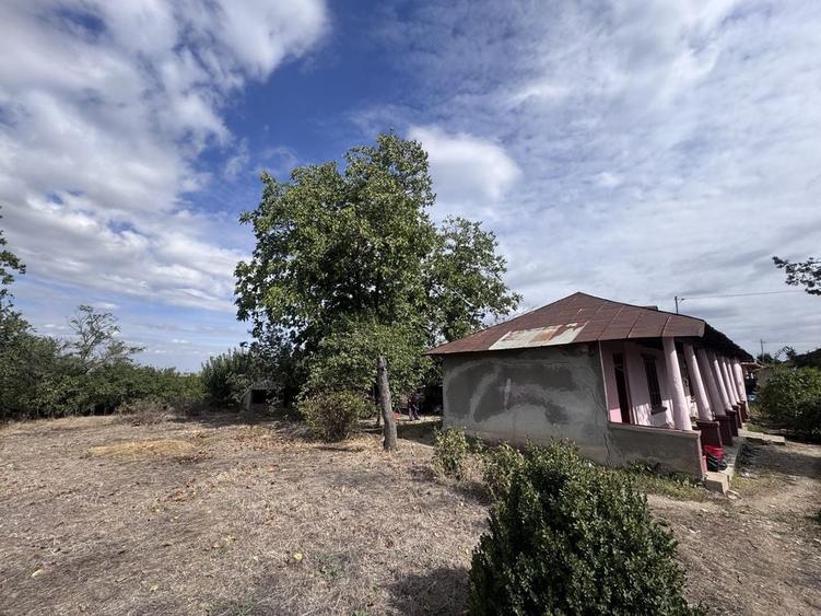 Casă cu 4 camere în Copaciu