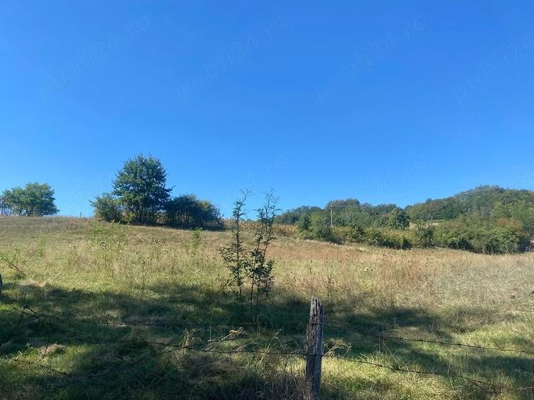Teren de 5600 mp, în Cepari