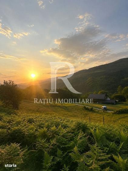 Spațiu comercial, în Remetea