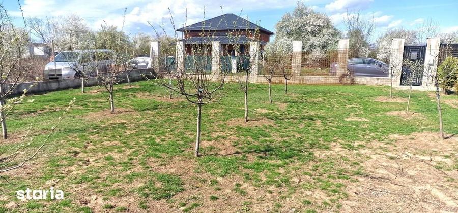 Teren Tancabesti ingradit - 2