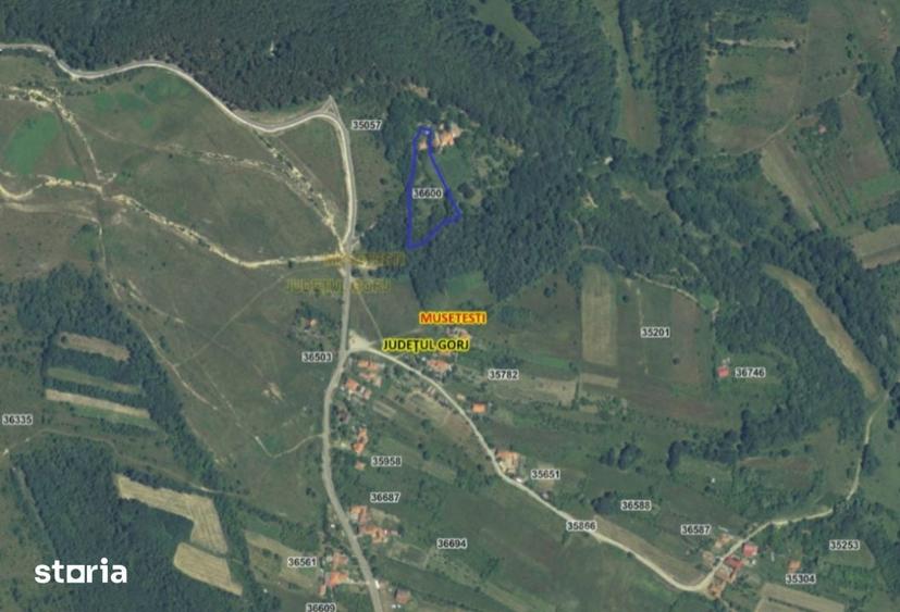 Teren de 4790 mp, în Mușetești