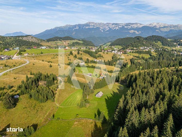 Teren de 18044 mp, în Dâmbovicioara