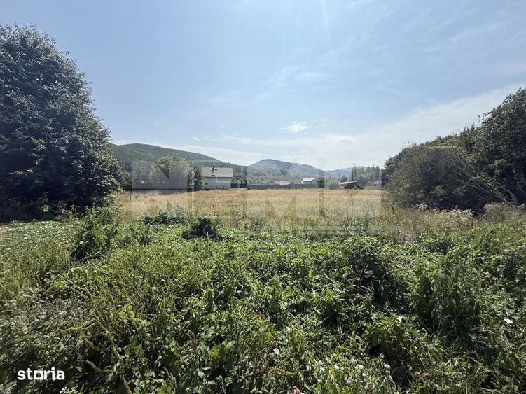Teren intravilan de vanzare | Sucevita | Front 53 m - 1