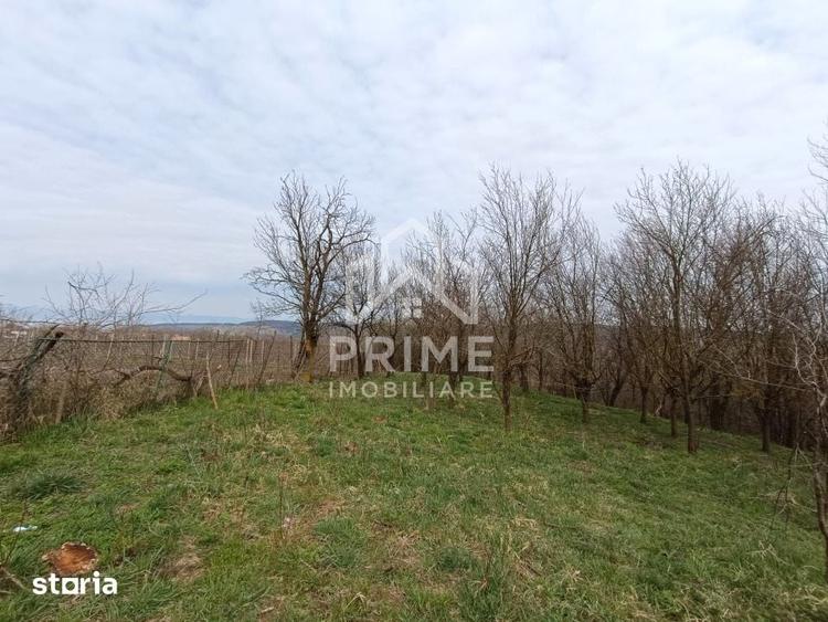 Teren de 1295 mp, în Berghin